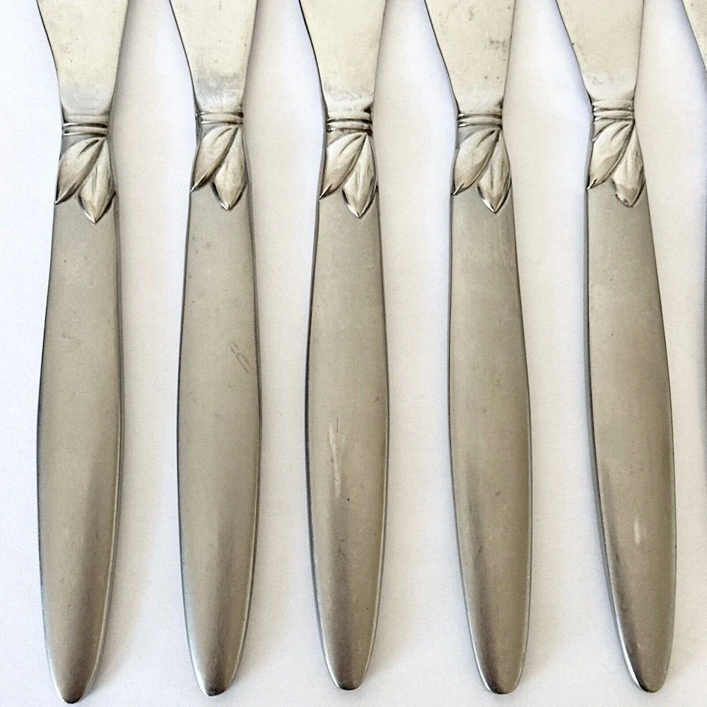 8 Pc‎ Pfaltzgraff stainless 18/0 Satin Laurel Frosted handle Dinner Knives￼